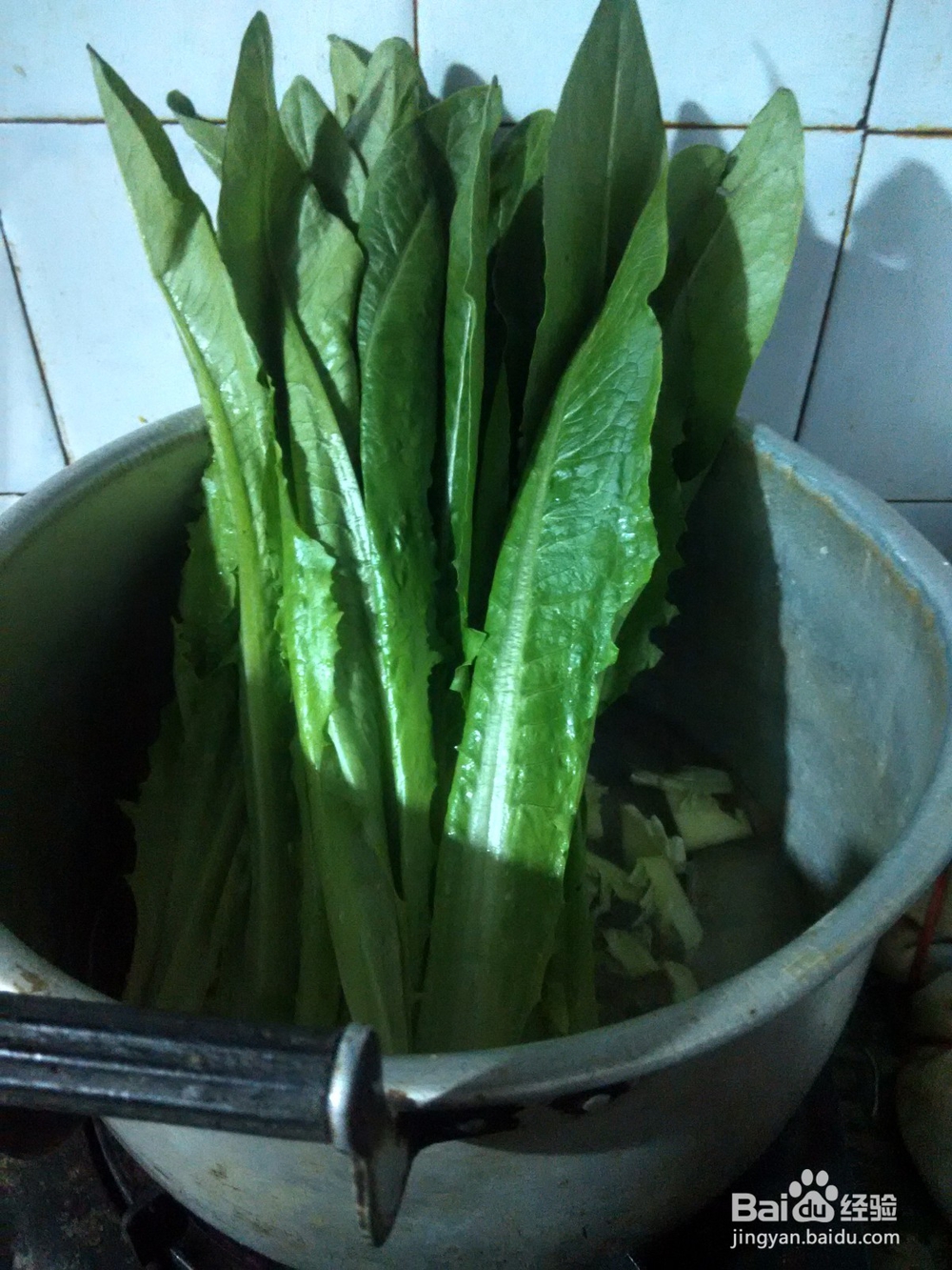 油麦菜拌阿波罗