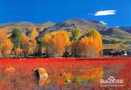 云南旅游怎么安排才划算又方便