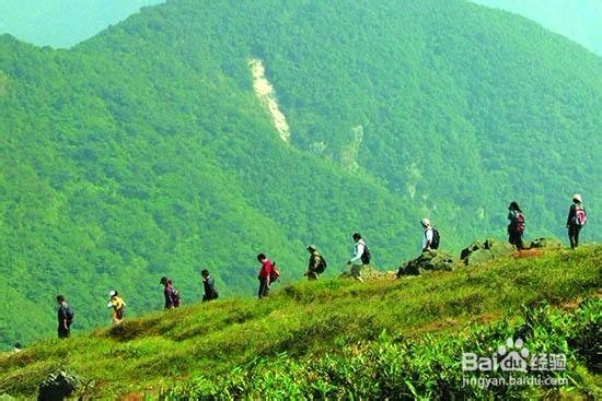 登山需要必备的东西