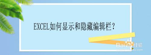 Excel如何显示和隐藏编辑栏?## 新人打卡