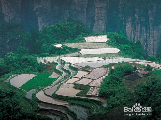 张家界武陵源核心景区内特色农家乐客栈住宿