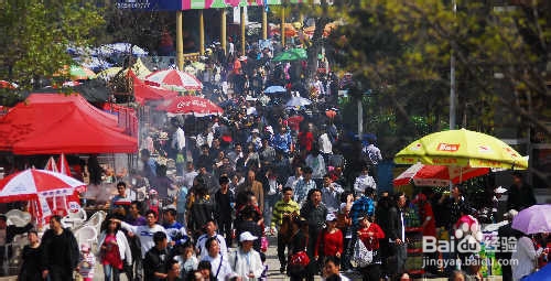 五一假期旅游建议