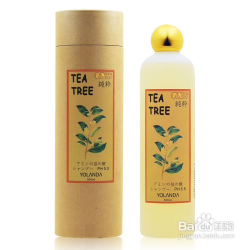 头皮容易出油怎么办