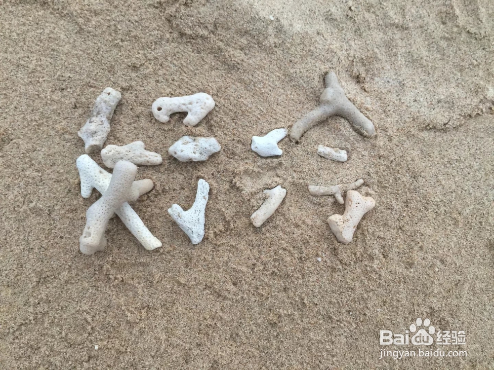 广西北海涠洲岛旅游攻略