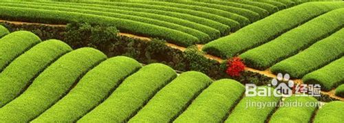 杭州游推荐全攻略