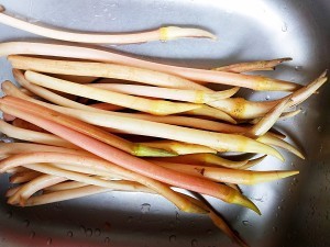 食补佳品藕尖的做法