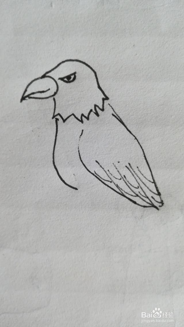 怎么画老鹰的简笔画,老鹰简笔画[图]
