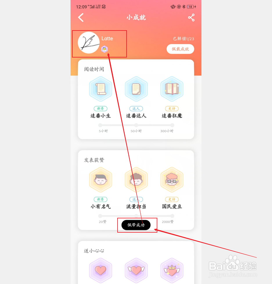 一零零一如何佩戴已经获得的成就