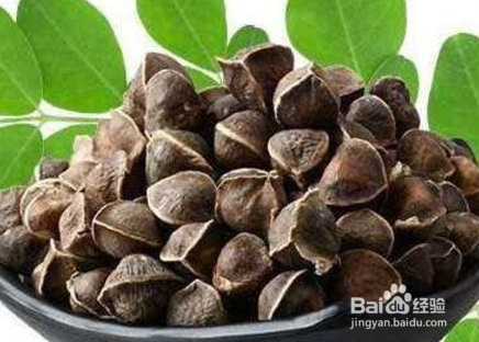 辣木籽怎样食用