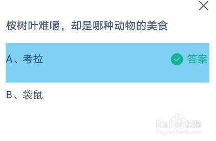 桉树叶难嚼，却是哪种动物的美食？蚂蚁庄园
