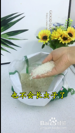 大米长虫子怎么解决