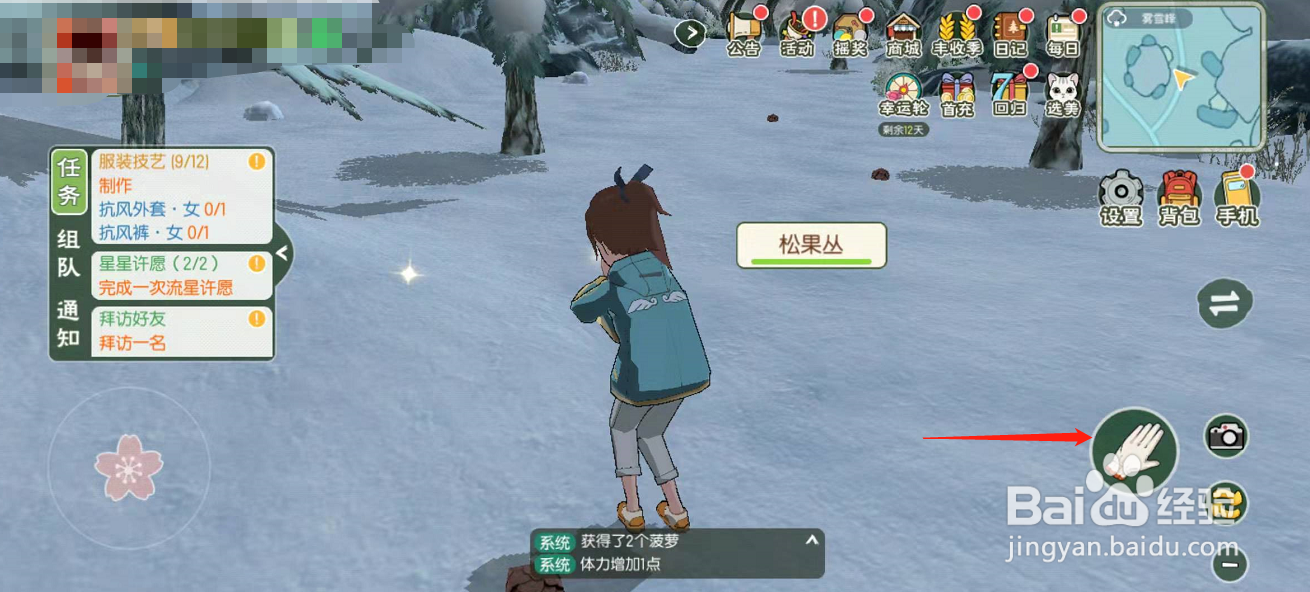 小森生活游戏怎么得到松果