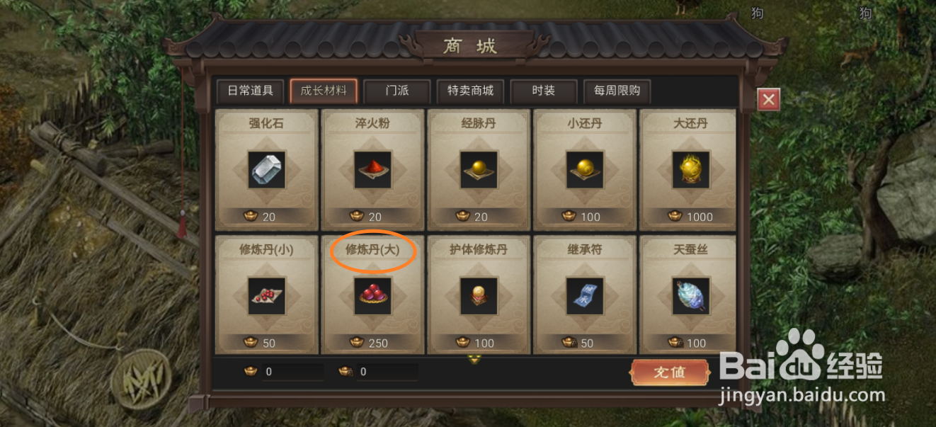 武林霸业的修炼丹（大）在哪里可以买到