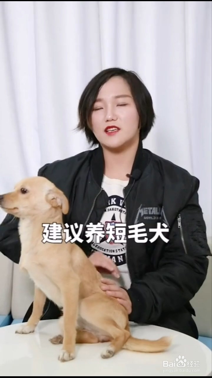 养狗如何更省钱