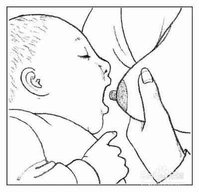哺乳注意要点与常用姿势
