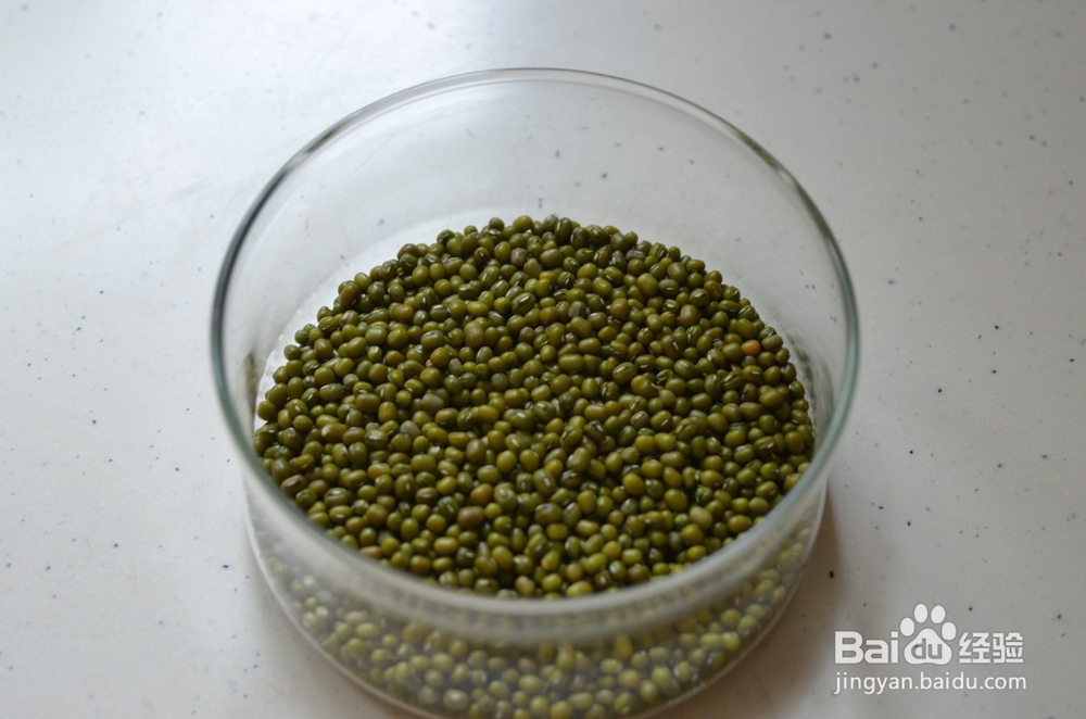 夏日佳品绿豆百合汤