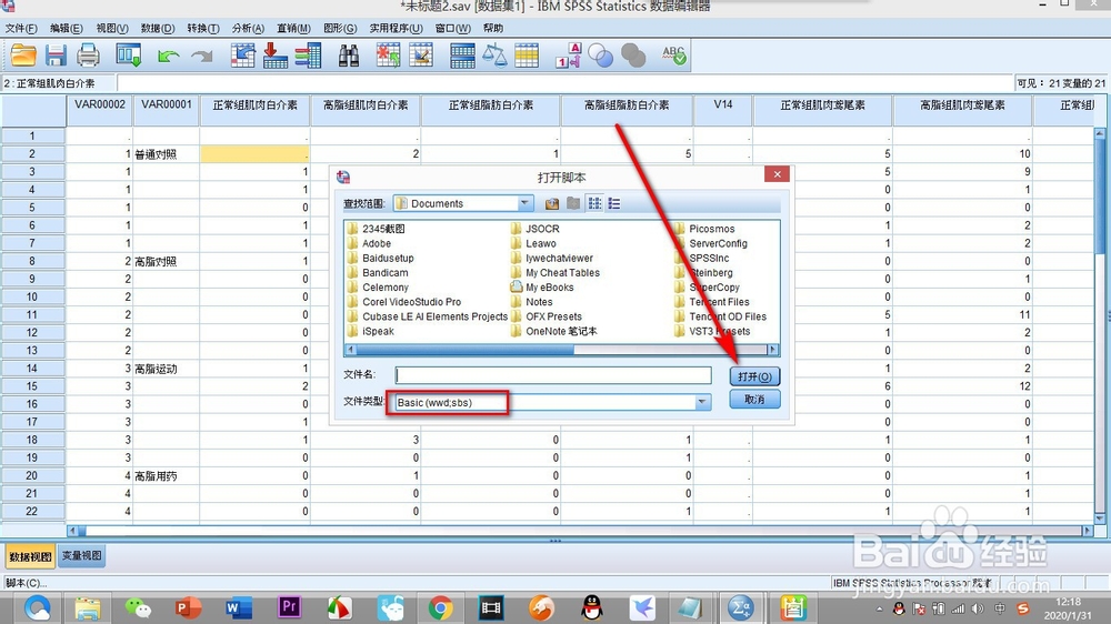 如何打开SPSS中的脚本命令？