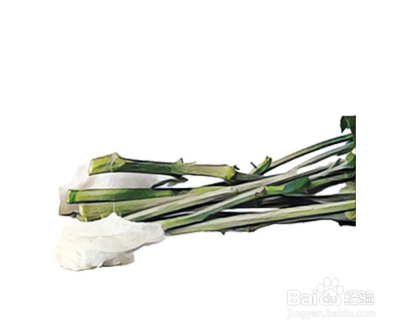 花加mini系列养护插花指南