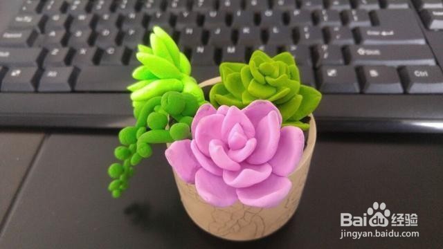 冬天多肉叶片扦插方法