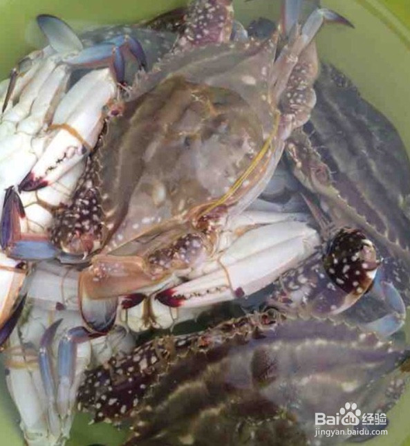 蒸螃蟹用啥调料