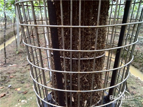 太阳能杀虫灯安全使用注意的事项