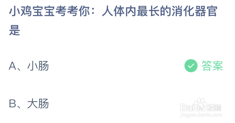 小鸡宝宝考考你人体内最长的消化器官是
