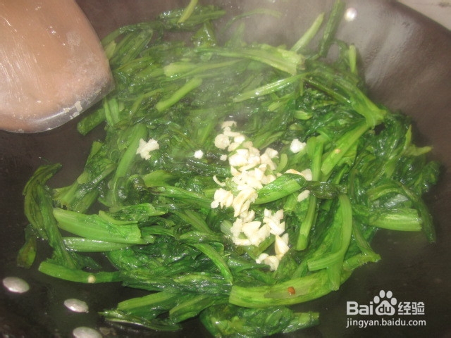 油麦菜之蒜蓉油麦菜