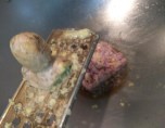 如何做麻油肉末面线汤