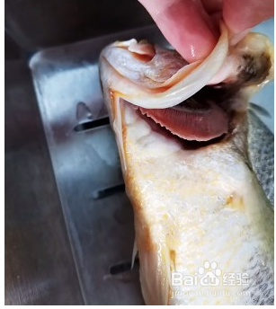 大黄花鱼去内脏图解