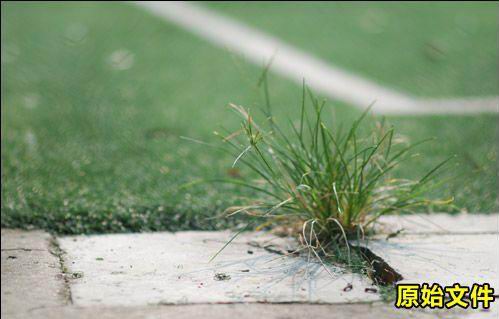 高画质法宝相机RAW格式使用技巧详解