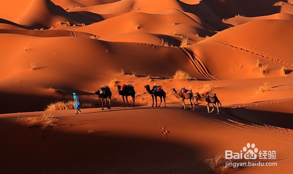 摩洛哥有哪些好玩的地方？