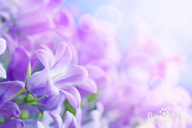 如何护理好自己的发质小贴士