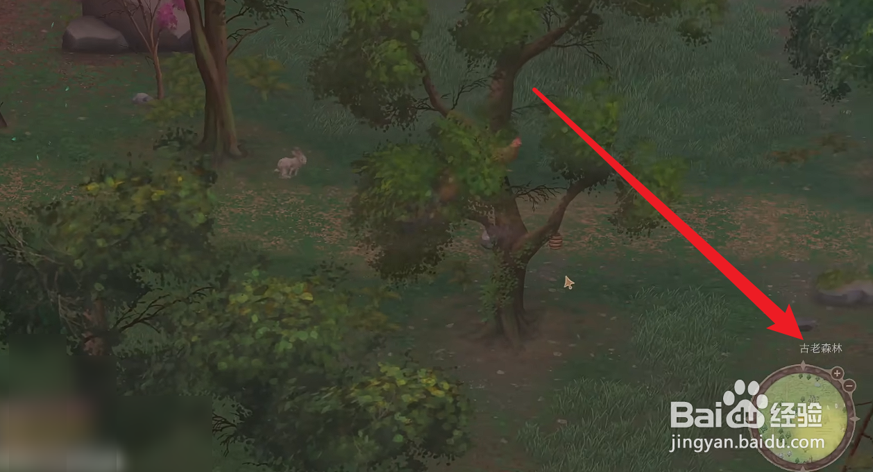 欢欣森活怎么获得蜂蜜