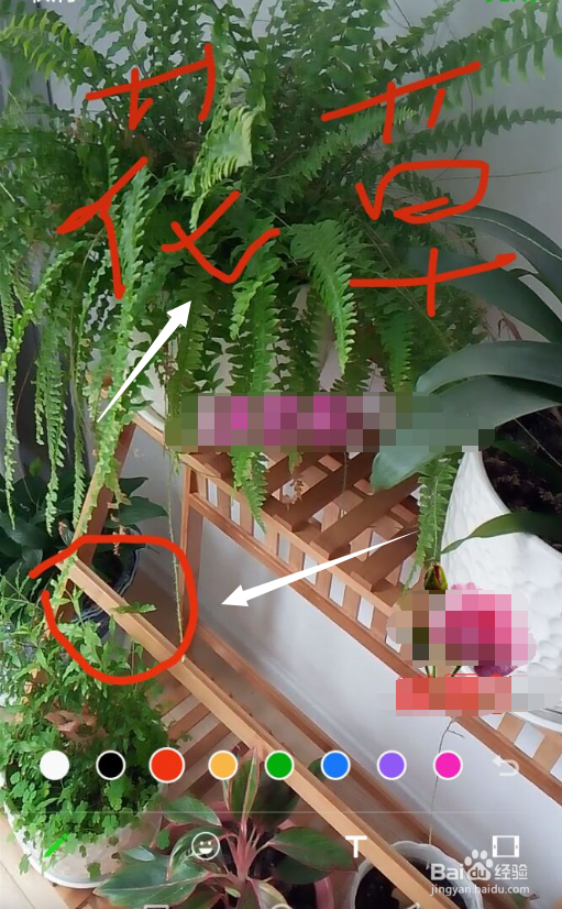 怎么把发微信朋友圈的视频进行编辑和添加字幕