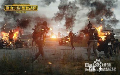 刺激战场可用的冷门枪大全