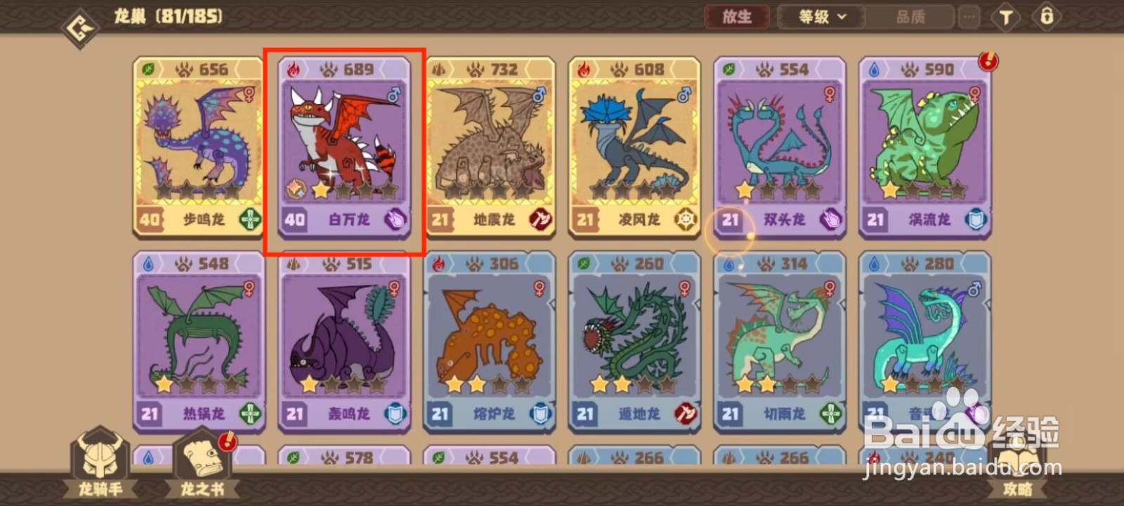 驯龙高手旅程白万龙如何穿戴装备？