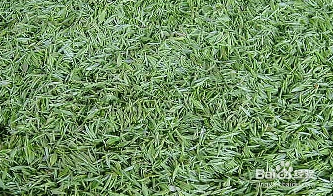 哪些祛痘痘的方法不可信