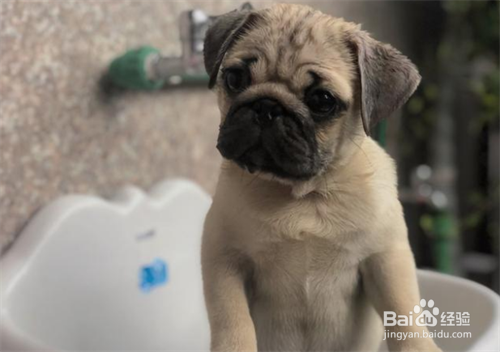 新时代如何对孩子进行劳动教育