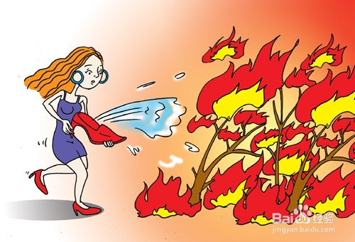 森林里发生火灾正确的做法是