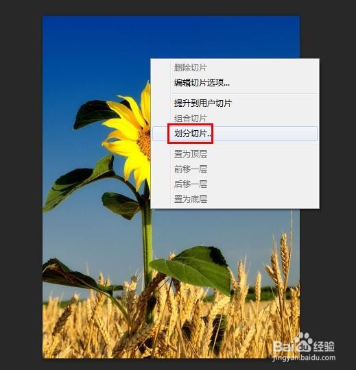 ps怎么把图片裁成两张