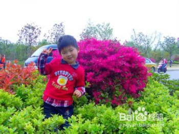 怎样让宝宝更自信