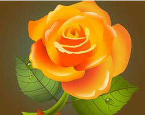 Word文档第一行空格如何去掉