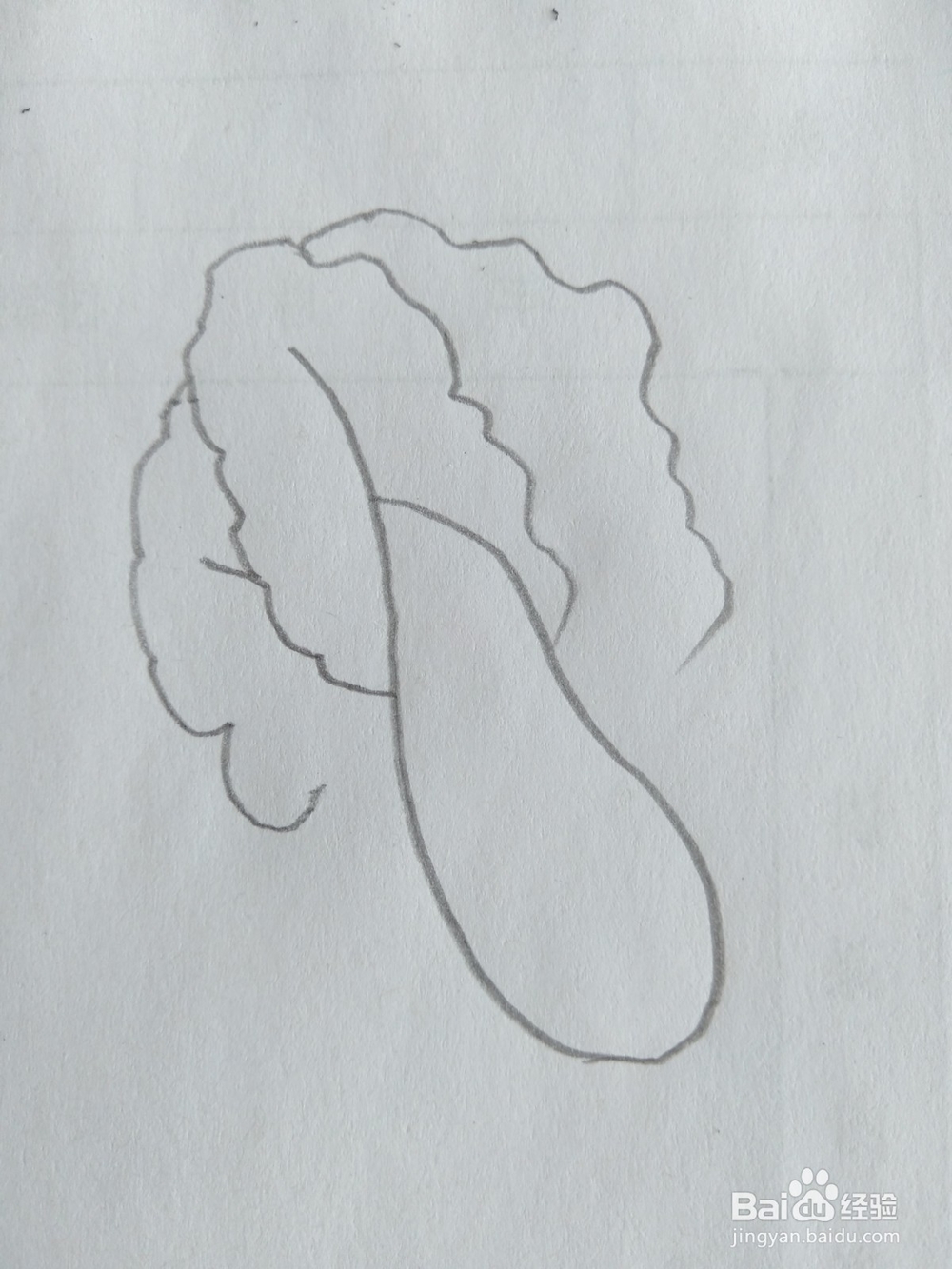 儿童简笔画白菜画法八