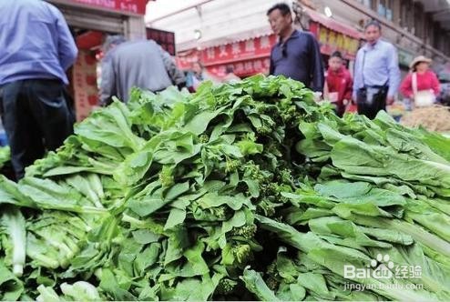春季首选的六种调脾胃 控血脂 补阳气的蔬菜