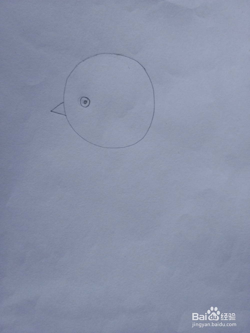 简笔画——怎么画小鸡