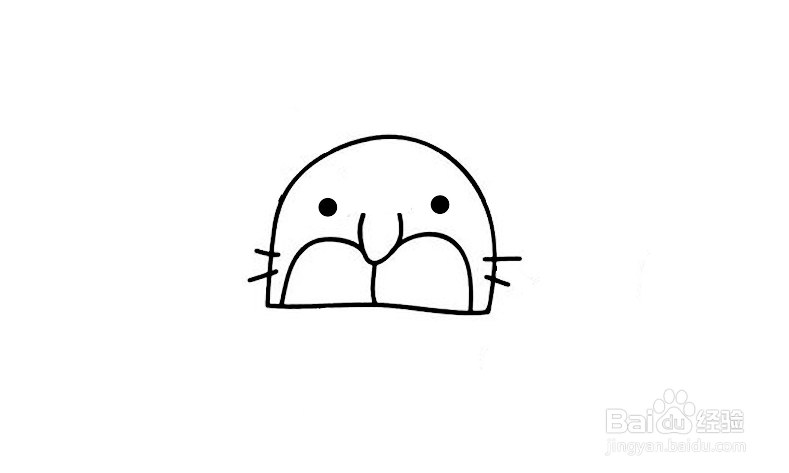 如何画出一个老虎