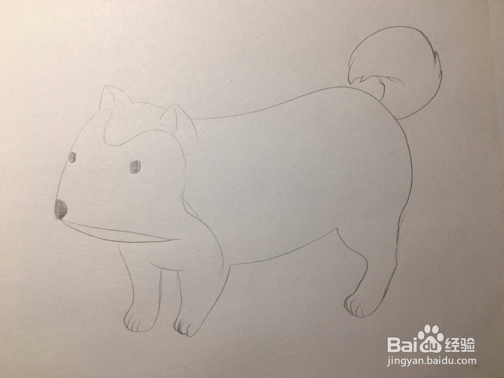 画一只小狗 狗仔简笔画 幼儿简笔画