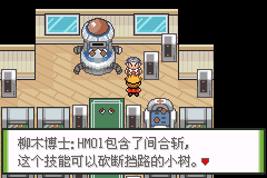 口袋妖怪釉色攻略(19)