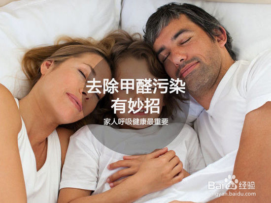 家人呼吸健康最重要!去除甲醛污染有妙招