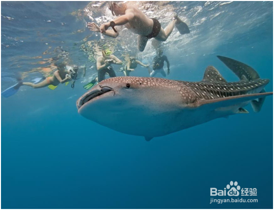 杜马盖地三日游——景点攻略